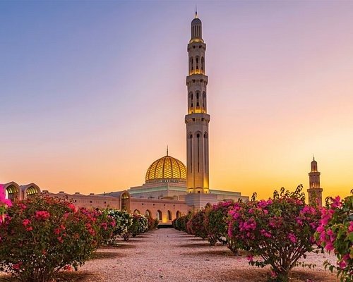 Oman Groups